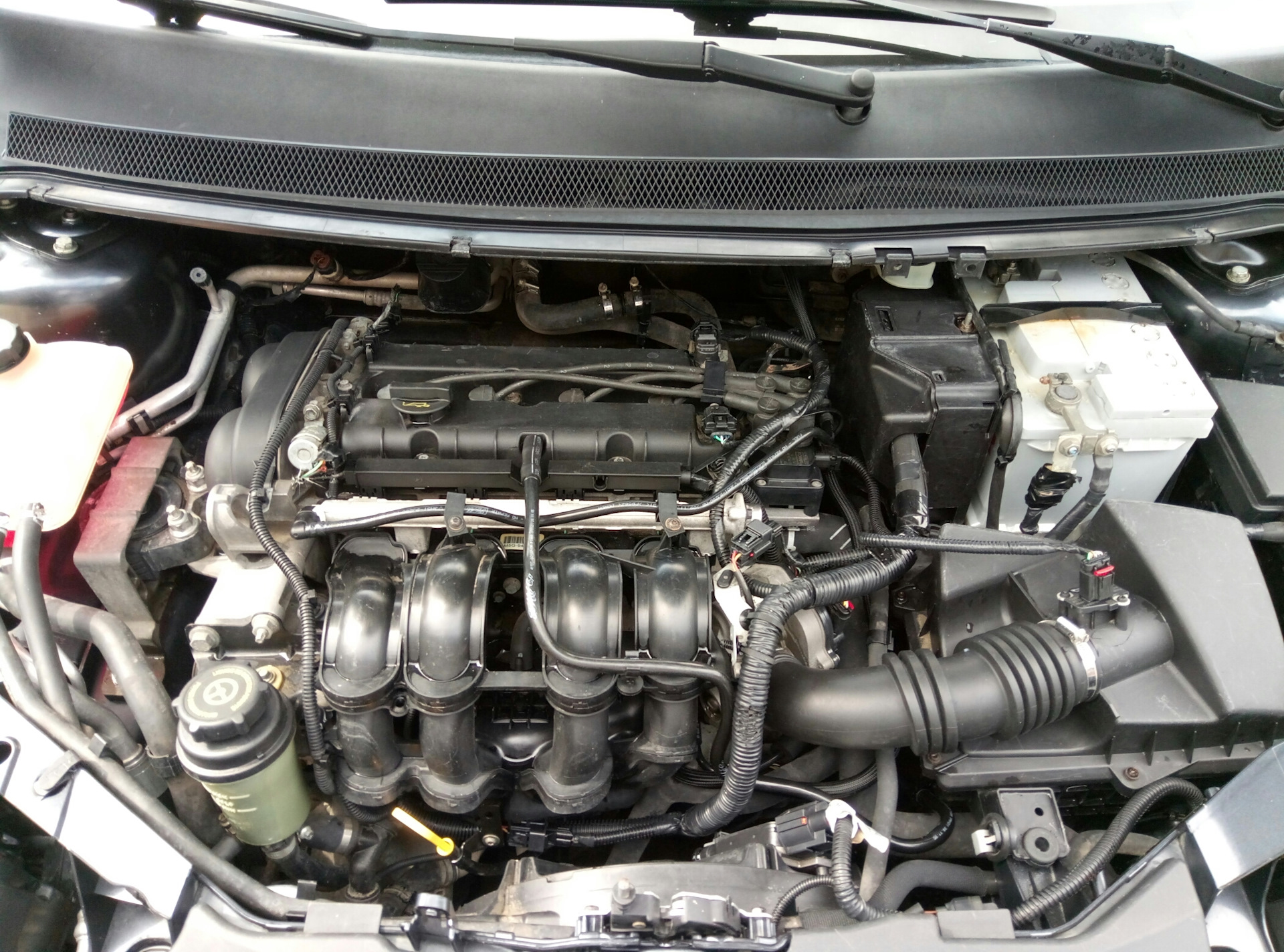 Ford Duratec Ti-VCT 16V Sigma 1,6 115 hk motor (Ford Focus)